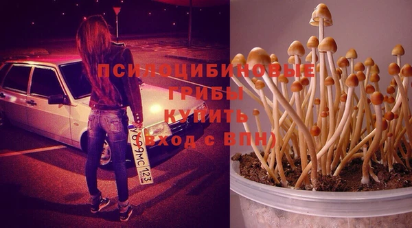альфа пвп Баксан
