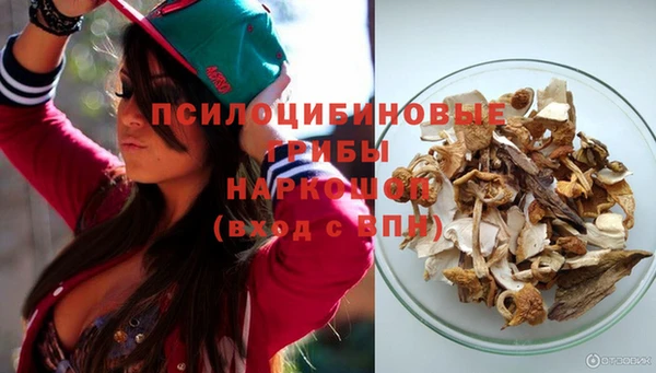 мдпв Новокубанск